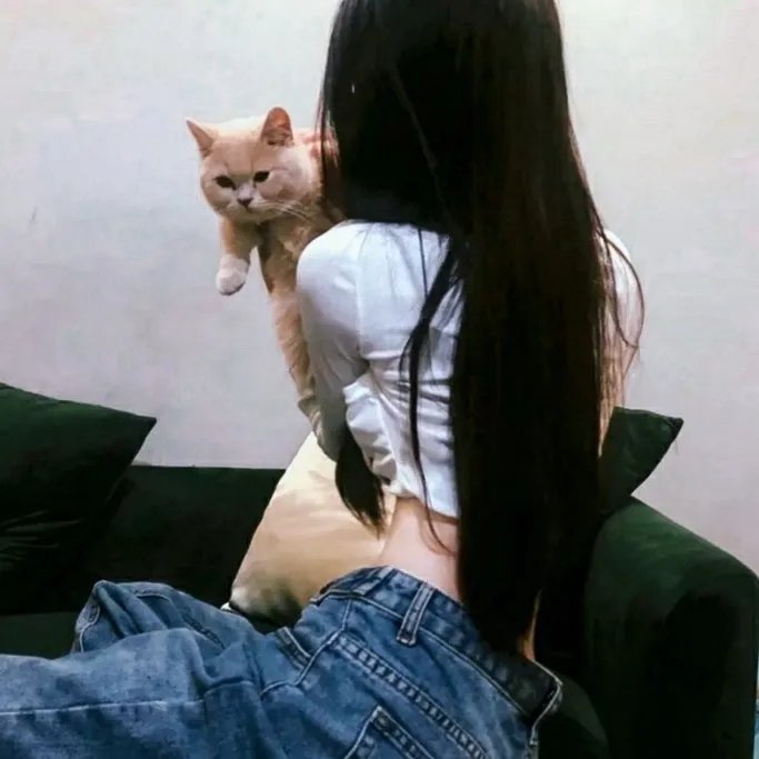 亚瑟与梅林:圣杯骑士